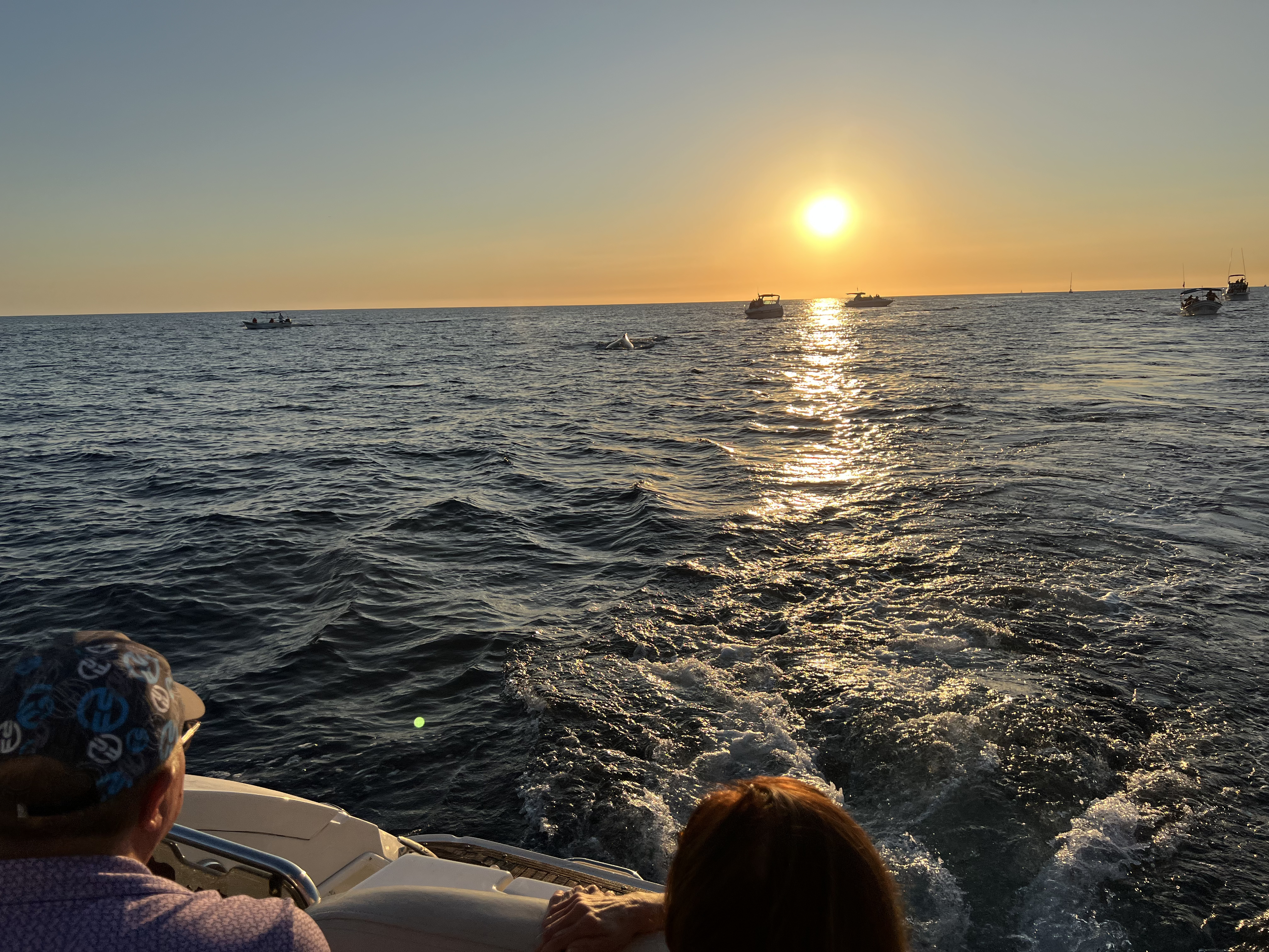 ./2024/13 - Cabo/IMG_4744.jpg